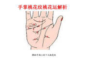 十二生肖桃花运势解析,命运与缘份的交 十二生肖桃花运势解析,命运与缘份的交