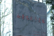南楼峙求签73，历史的回响与现代的启示