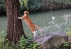 黑猫爬树，预兆与解梦的深层解析