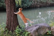 黑猫爬树，预兆与解梦的深层解析
