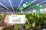 周公解梦与农耕，智慧的传承与实践