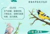 惊蛰时节，天时地利与人和