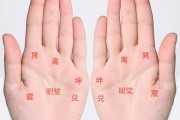 手掌三条纹，解读吉凶图，揭示命运密码
