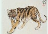 2013年生肖虎运势解析，机遇与