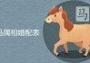 今天生肖马，运势如何？