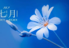 七月生辰八字测算，解析命理与运势