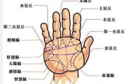 手纹算命小程序，揭示隐藏的个人秘密