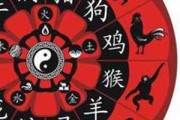 2017年生肖运势详解，十二生肖运势大揭秘，你的运势如何？