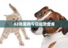 属狗人看过来！今天这些时间你最得福