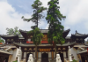 探寻径山寺的神秘，游客热议能否求签，揭秘古刹的祈福文化