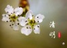 清明节吉时，自然与人文的和谐