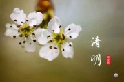 清明节吉时，自然与人文的和谐