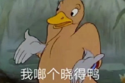 谜语中的鸟儿，解梦之谜