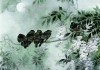 2023年生肖狗运势图表全解析，狗年运势
