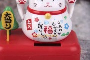 捡到一只猫，竟然带来！揭秘捡猫的奥秘