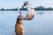 解梦鱼钩挂到头上什么意思