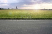 路边算命为何总准？真相或让人意外
