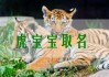 虎年宝宝取名，巧用沙字，寓意