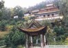 梨花坞的灵验，一场关于与现实的对话