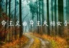 相命女的前世今生，一位现代都市中的神秘算命女主