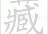 藏花盆种什么好？这些植物学知识你一定要知道！