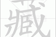 藏花盆种什么好？这些植物学知识你一定要知道！