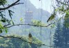 浮烟山朝观求签，自然与人文的和谐共生