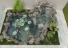 鱼池放水，预兆与解梦的深层含义