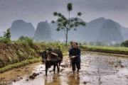 解梦梦见准备种地了，解读与启示