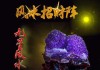 家中如何带来财富，解析与经济发展的关