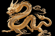龙年秦姓男宝宝取名指南，寓意与搭配技巧