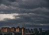 阴天看到壁虎，预兆与解梦解析