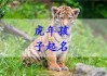 常姓腊月虎宝宝取名，传统与现代的结合
