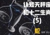 天秤座生肖蛇运势，解读与生活建议