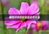 戴姓牛宝宝取名，好听又寓意深远的名字推荐