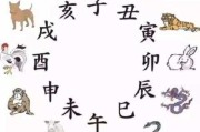 牛与羊的相冲，占卜中的神明与象征