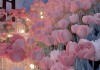 花叶翠绿，预兆的神秘解读