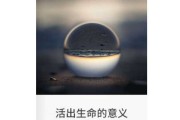 生命的意义，不算命不立命