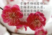 梦见雪梅，揭秘梦境中的雪梅象征意义及解梦指南