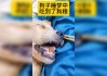 解读周公解梦，梦见狗喂奶的深层寓意