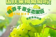 解梦摘葡萄,打什么码? 解梦摘葡萄,打什么码?