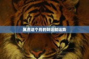 生肖运势解析,72虎的未来走向与机遇 生肖运势解析,72虎的未来走向与机遇
