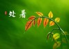处暑前后，生肖桃花运势解析