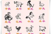 生肖狗明日运势，运势解析与建议