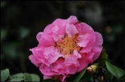 2019年9月14日，吉时的 significance
