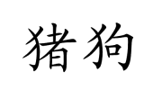 揭秘梦境中的猪狗象征，狗是什么意思？