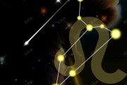 十二星座狮子战衣，颜色背后的深意与时尚潮流