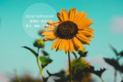 2019年1月6日，一个充满希望的吉时
