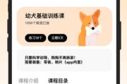 给宠物求签,解读神秘的宠物灵性沟通 给宠物求签,解读神秘的宠物灵性沟通
