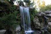 假山池种植指南，选择与布局技巧